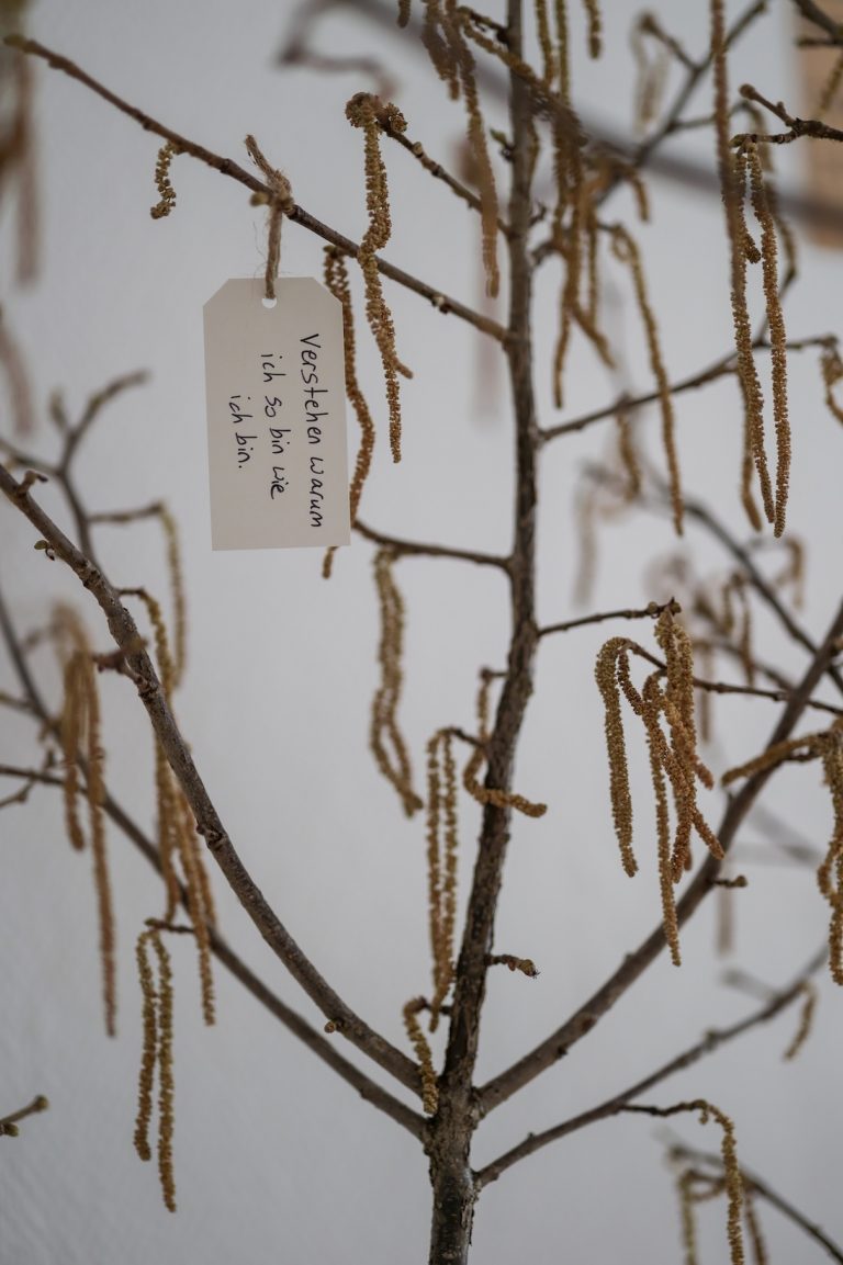 Baum für Therapieziele (Detail)